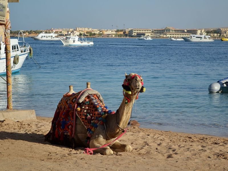 Как самому организовать отдых в Египте